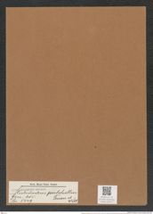 Stictodiscus pulchellus Truan et Witt. (de-Toni-Nr.: Genus 205, Species 5249) Zeichnungen Sammlung Grunow Mappe 05011 (Herbarium_W_Grunow_drawings_Folder_05011)
